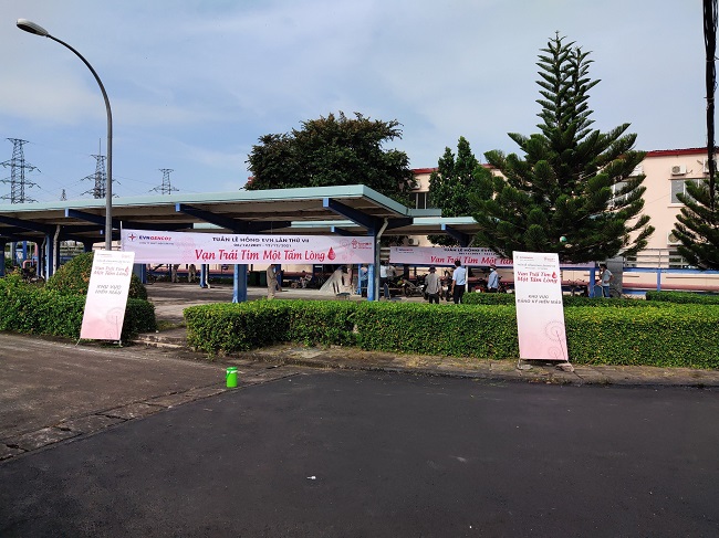 tuanlehong3