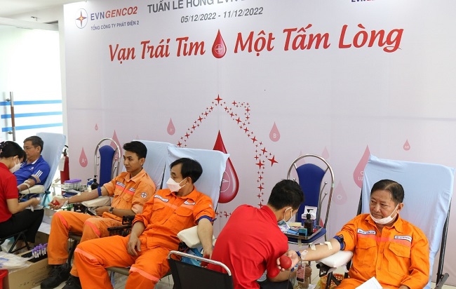 tuanlehong8 5