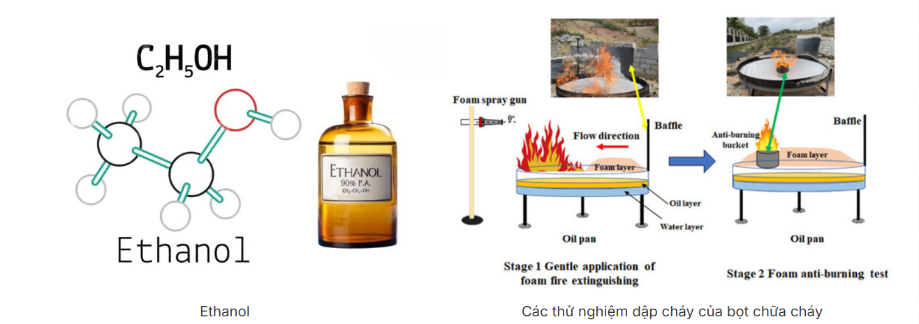 32bd40ee 091d 44fe 89f3 890882c64bba